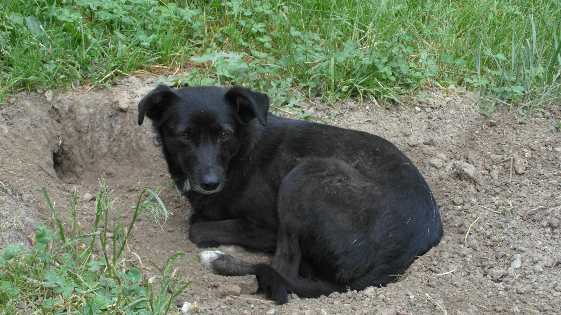 Coco13.JPG (1920 x 1080)